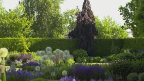 Nowa Maja w ogrodzie: Ogród i sad!